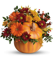 Teleflora's Country Pumpkin from Beecher Florist, flower delivery in Beecher